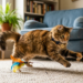 Heardfurball852